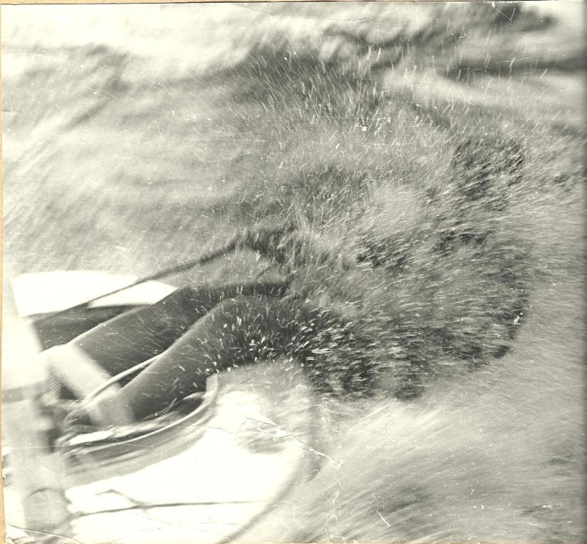 Unidentified photo  (foto didn,t loaded, try to restart the page)